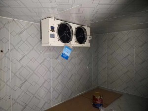 上?！ぜ味?0立方啤酒冷庫(0-5度）