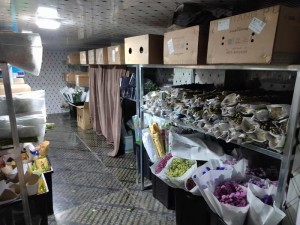 上?！ぜ味?5立方鮮花冷庫(kù)保鮮庫(kù)