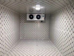上?！ぜ味?2立方冷凍庫(kù) -18度冷藏冷凍庫(kù)
