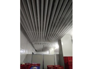 上?！ぜ味?00立方冷凍庫(kù)（可放100噸貨）-18度