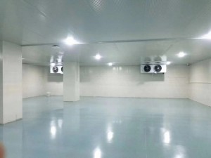 上?！ぜ味?50立方冷凍庫(kù)