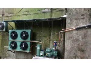 上海·嘉定400立方異型排管冷庫(kù)